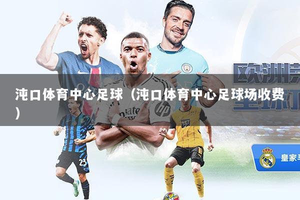沌口体育中心足球（沌口体育中心足球场收费）